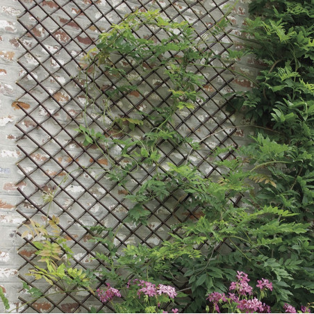 Mriežka TRELLIS prútená 0,5x1,5m