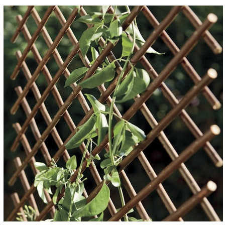 Mriežka TRELLIS prútená 0,5x1,5m