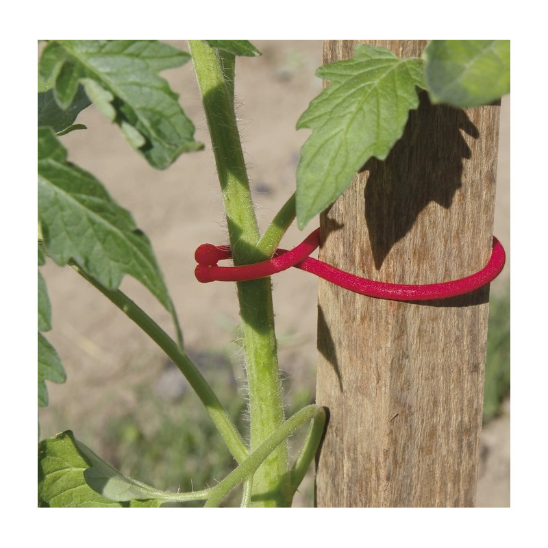 Tomato Klips 25ks/bl