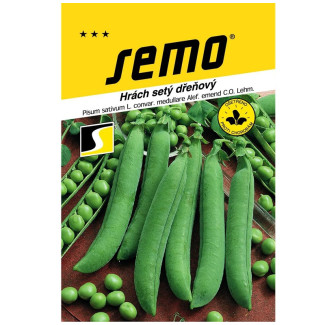 Osivo - Hrach Progress N9 skorý 50g